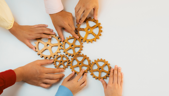 SIPAS Erasmus Plus Capacity Building Project